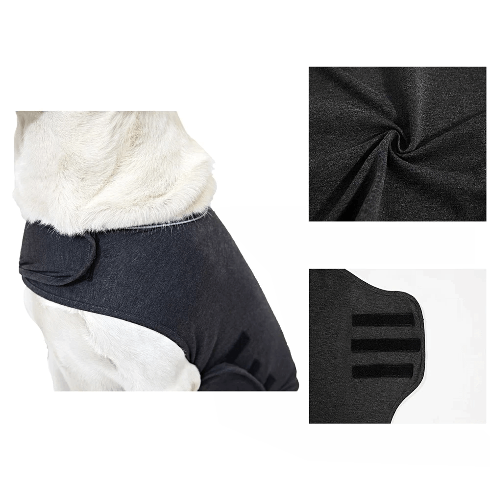 gid://shopify/MediaImage/33701393629424